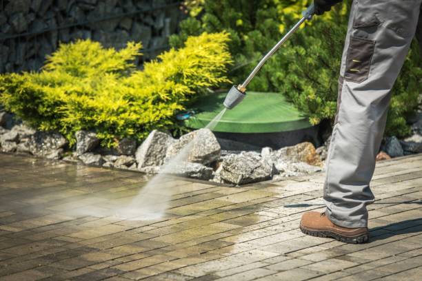 Best Fence Cleaning  in Ellisville, MO