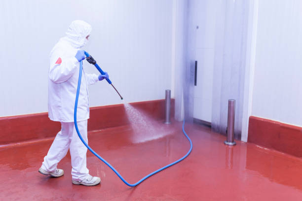 Best Dumpster Area Cleaning  in Ellisville, MO